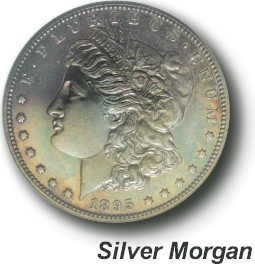 silver morgan